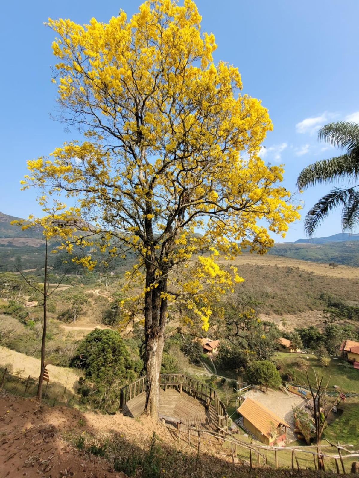 Pousada Recanto Do Ype Aiuruoca Buitenkant foto